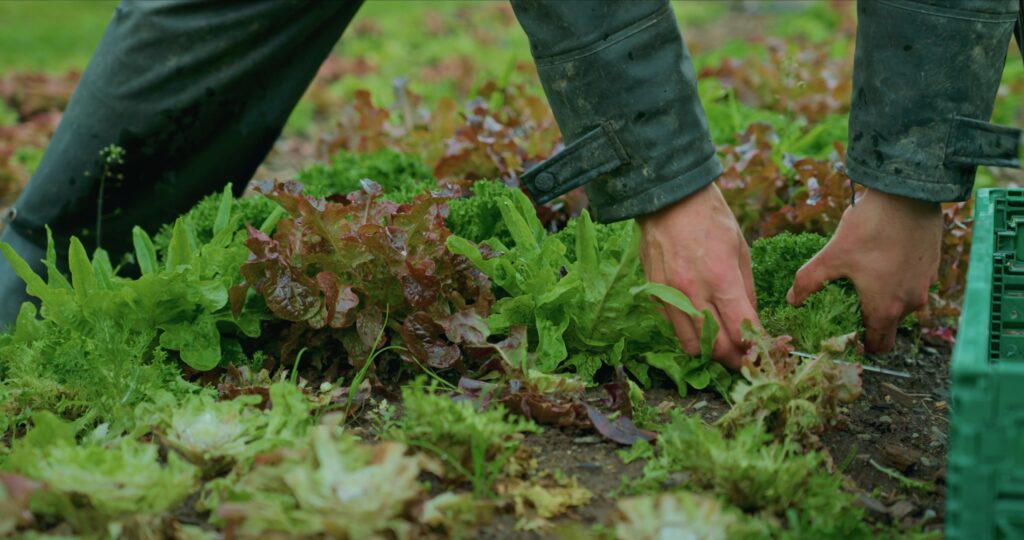 Skjermbilde 2025 09 16 kl. 20.17.03