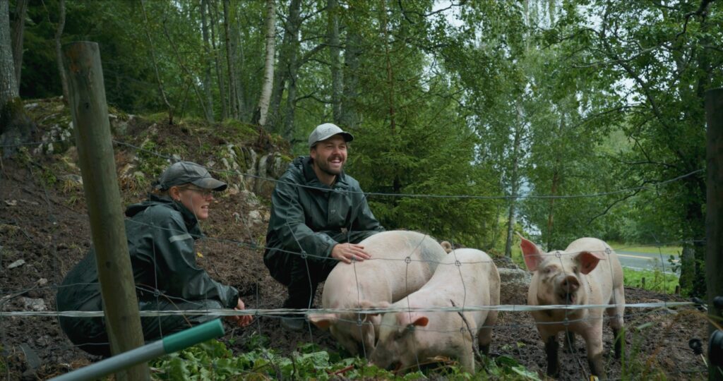 Skjermbilde 2025 09 16 kl. 20.19.13