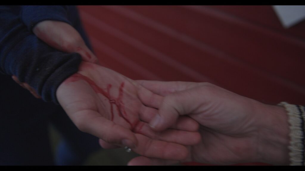 54810902274 99ae08c179 o – stort